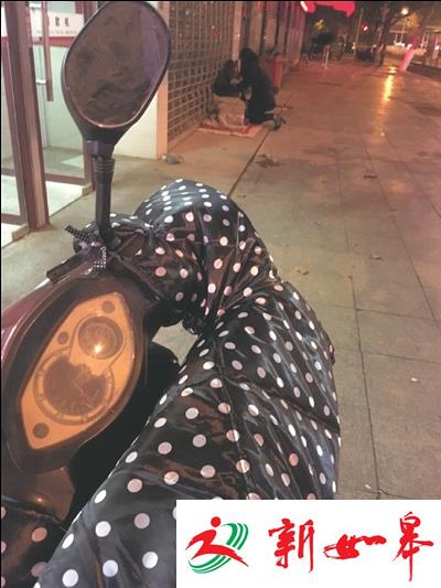 南通街头一年轻姑娘凌晨跪着喂流浪老人-雉水网