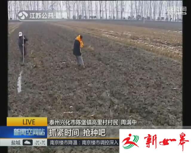 小麦加肥蔬菜“添衣” 多措并举降低寒潮影响-雉水网