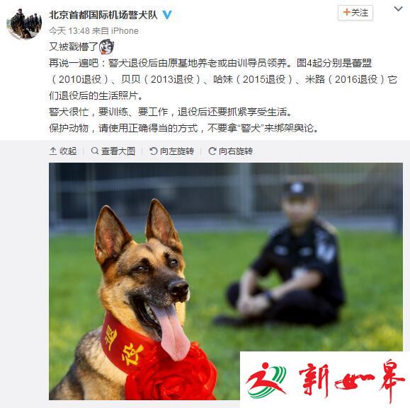 警犬退役后被食用？警方辟谣：勿拿“警犬”绑架舆论-雉水网