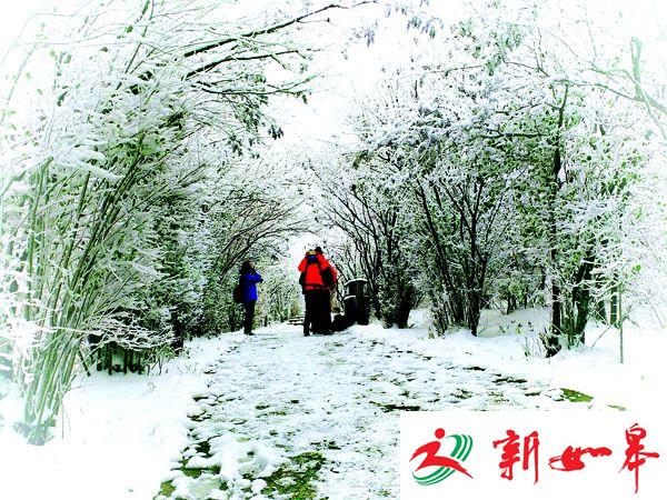 连云港今冬第一场雪带来雪后寒 后天夜里再迎雨水-雉水网