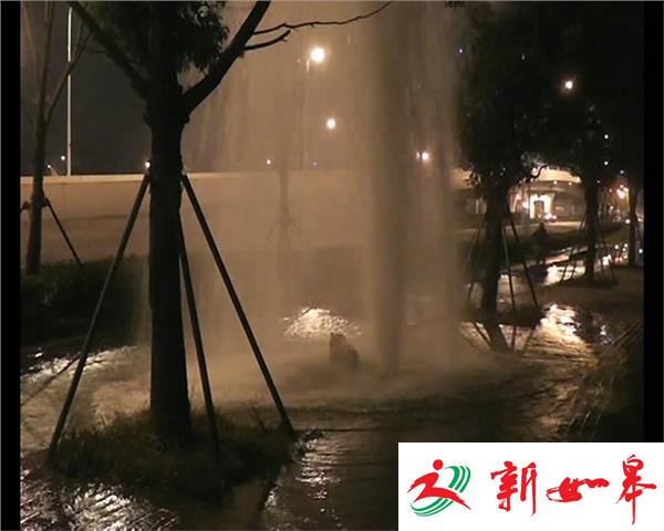 撞断消防栓逃逸 市民视频作证-雉水网