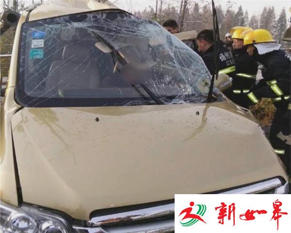 扬州: 面包车撞断行道树 乘客一死两伤-雉水网