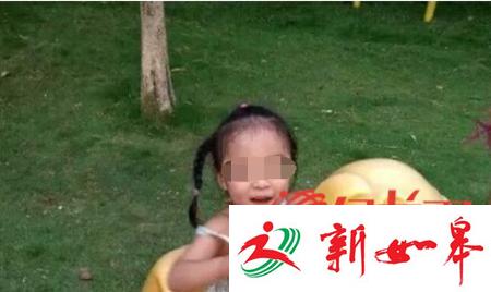 罗一笑之父：我之前公众号内容都不是真的-雉水网