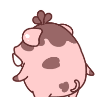 杭州野猪在隧道内正面撞奔驰 车坏了猪没死-雉水网