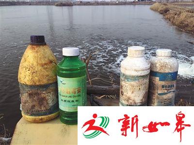 天津水产局回应“鱼塘投兽药”：养殖不规范属个别情况-雉水网