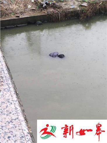 男子河边哭泣不听劝 不久尸浮河面已死亡-雉水网