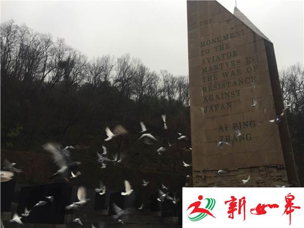 南京抗日航空烈士纪念馆举行悼念活动 放飞和平鸽-雉水网