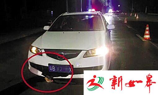 女司机夜驾 忽然发现车底一只血淋淋的手-雉水网