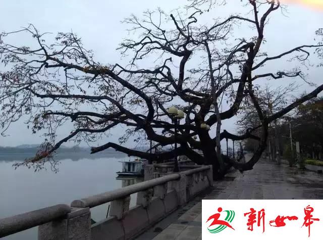 罗尔发旧文《欠钱不还不是人》 称情绪与当下暗合-雉水网