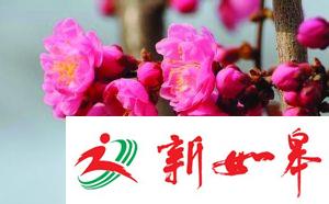 南京未来咋种树？新区提倡一街一景-雉水网