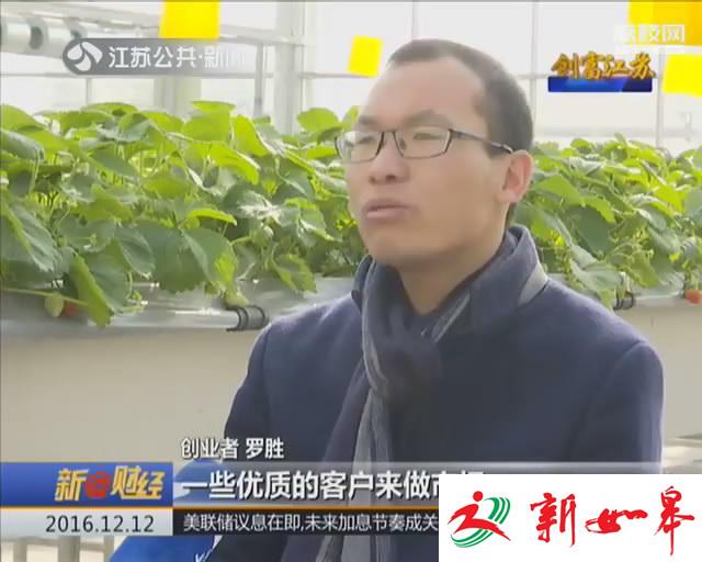 创富江苏：“喝酵素”的蔬菜园-雉水网