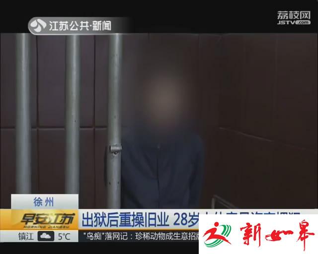 28岁小伙窃龄21年 出狱后作案又被抓-雉水网
