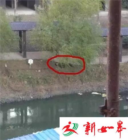 盐城河边惊现一具男尸死因不明-雉水网