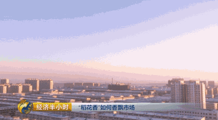 黑龙江稻农收入暴涨组团进城买房 有人一买十多套-雉水网