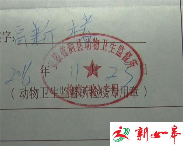 有人卖狗有人护 岂料双方起冲突-雉水网