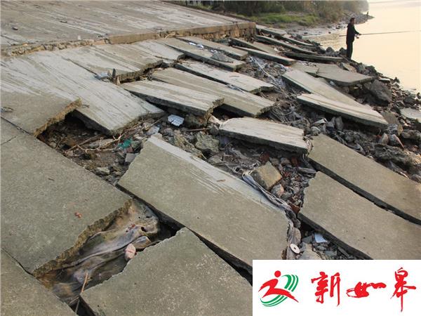 万景园旁江堤出现滑坡   市民此处钓鱼危险（视频）-雉水网