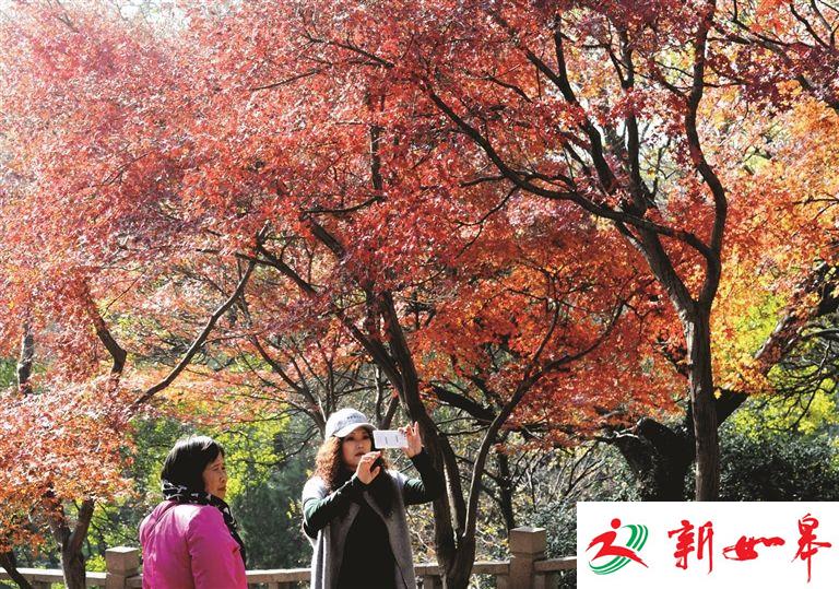 今天沿江苏南最高将达18℃ 南京“腌肉灌香肠潮”已提前启动-雉水网