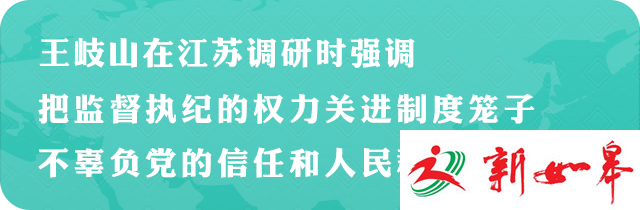 王岐山在江苏调研时强调：把监督执纪的权力关进制度笼子-雉水网