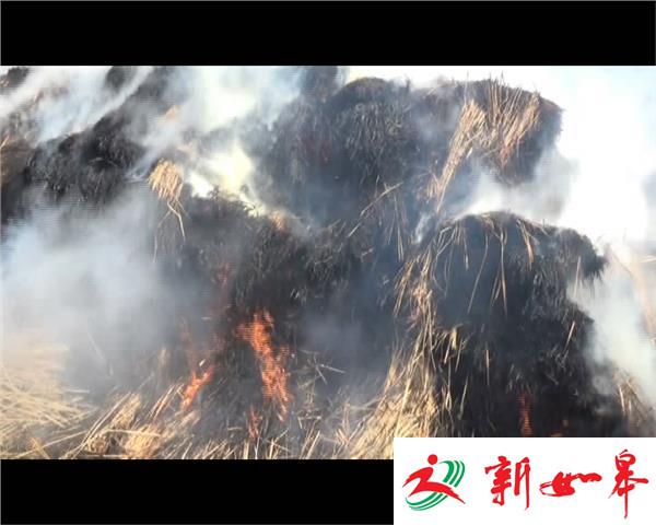 顽童放鞭炮 引燃大草堆-雉水网
