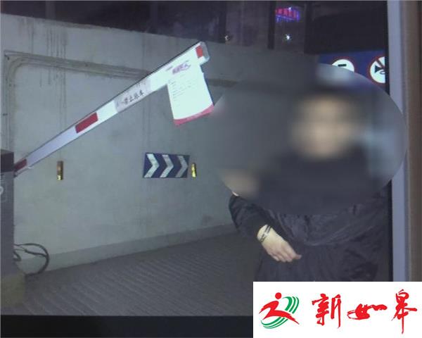 疯狂砸车80余辆 竟是喝酒“断篇”-雉水网