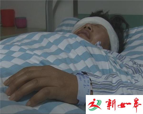 淮安首例人工生物角膜移植成功 “捐献者”是一头猪-雉水网