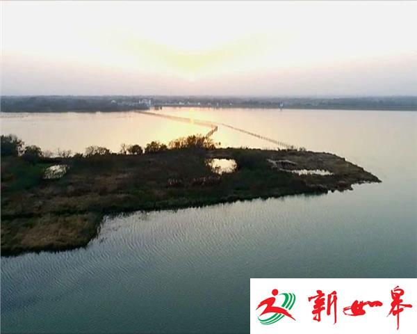成群天鹅“歇脚”茅山湖 身姿优雅上演“天鹅舞”-雉水网