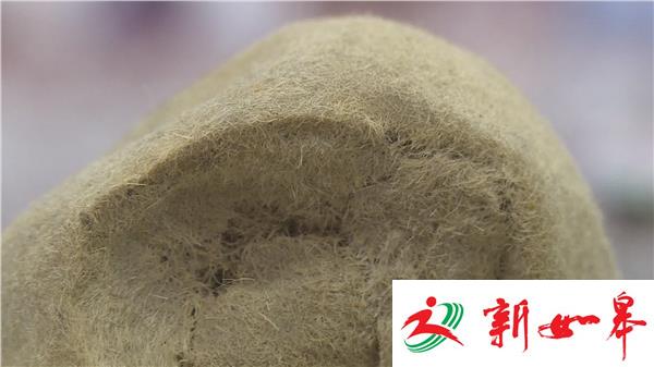 荔枝调查：羊肚惊现”怪蛋“ 价值百万的“羊宝”？-雉水网