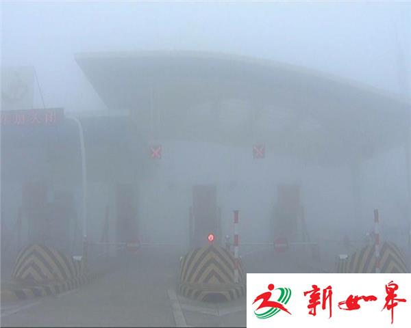 大雾锁城  淮阴部分路段能见度不足十米  高速入口排长龙-雉水网