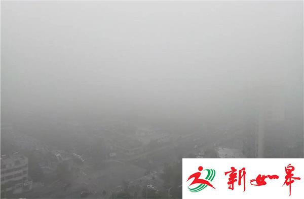 南京今晨突降大雾 江北地区能见度不足50米-雉水网