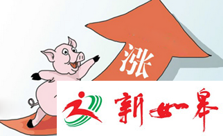 如皋生猪价格稳步上涨　肉类制品迎来销售旺季-雉水网