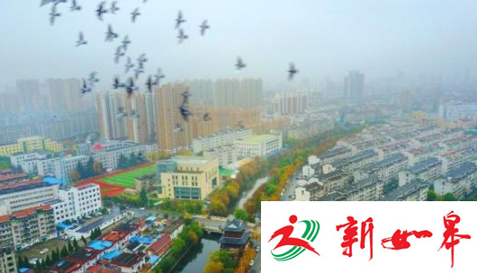 如皋市荣登全国县域经济与基本竞争力百强县第23位-雉水网