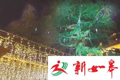18米圣诞树成徐州全市之最-雉水网