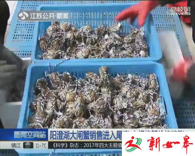 阳澄湖大闸蟹销售进入尾声 大规格蟹价格略涨-雉水网