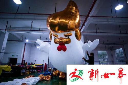 “特朗普鸡”在中国蹿红 外媒称象征运气和生意-雉水网