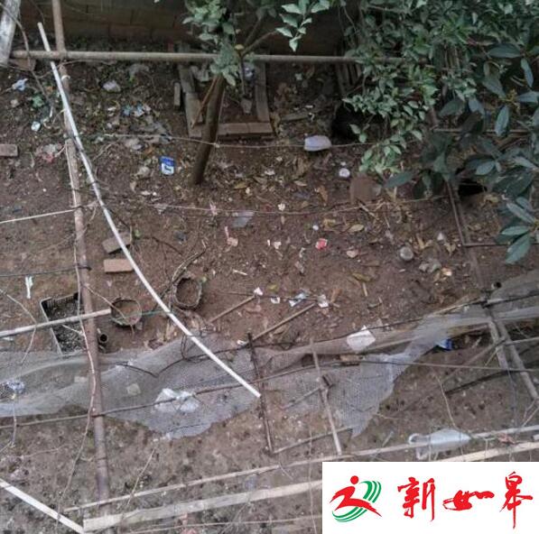云南14岁女生宾馆坠亡 警方回应是否强奸致死：正调查-雉水网