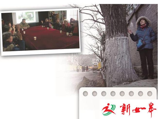 为了人行道上一棵槐树的去留 南京相关部门开会听听居民意见-雉水网
