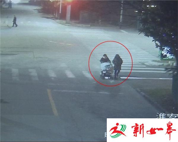 “满月”女婴被遗弃绿化带内-雉水网