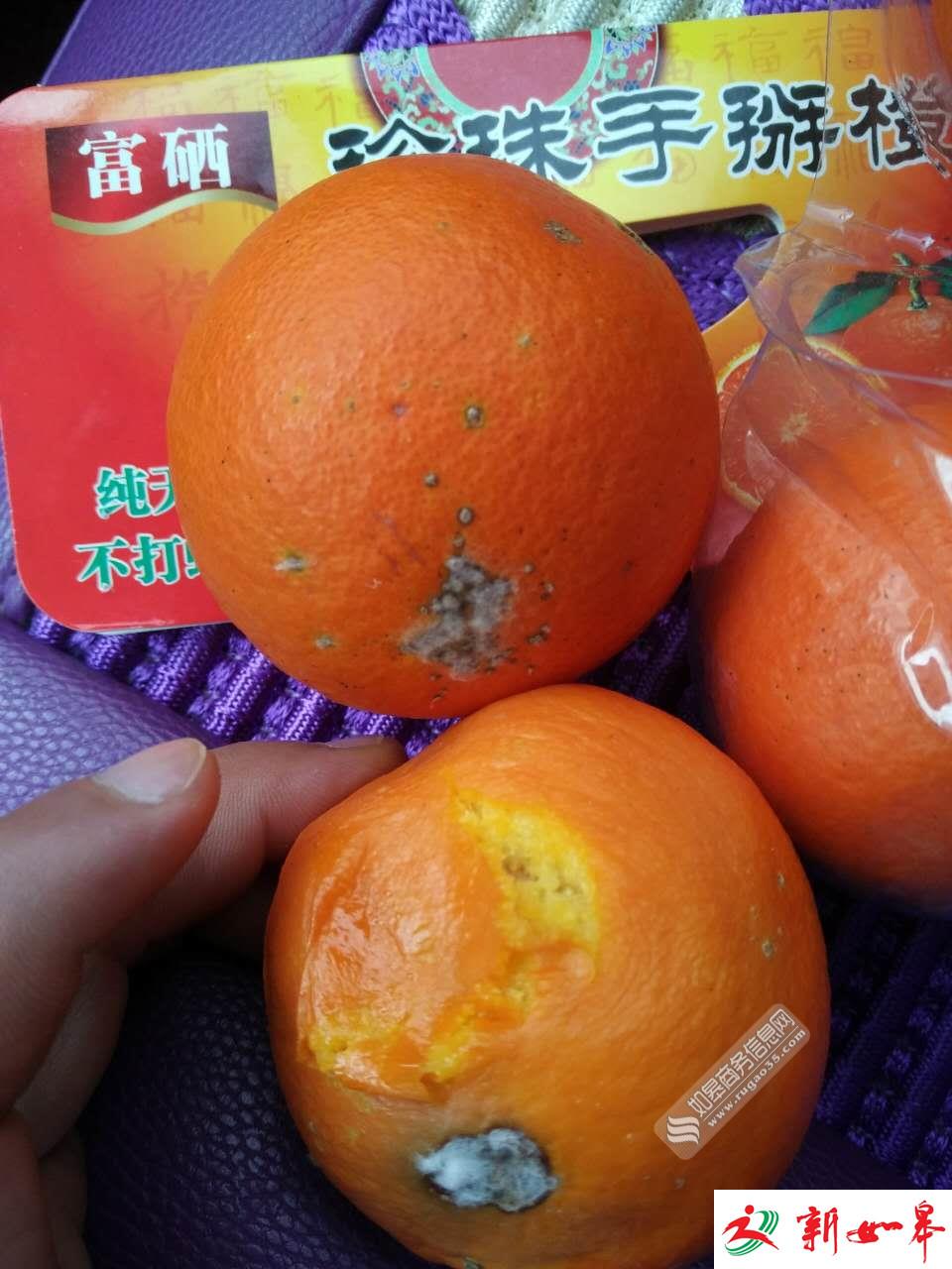 如皋男子水果店购买包装橙子 打开发现已有2只腐烂-雉水网