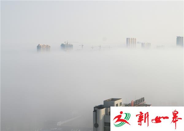 大雾红色预警：至中午大丰大雾仍未散去-雉水网