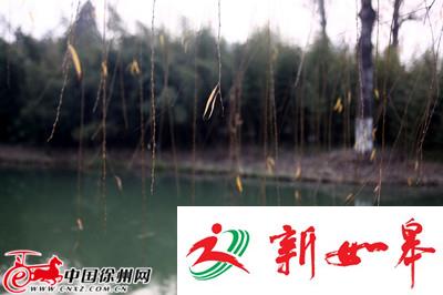 徐州这个冬天会是“暖冬”？-雉水网