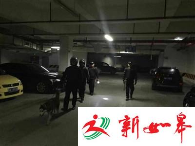 成都一小区保安携犬巡逻 哈士奇开道引业主爆笑-雉水网
