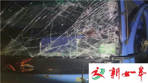 大货车追尾运鹅车 人受伤鹅散落一地-雉水网