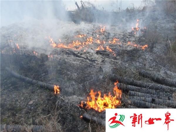 大胜关桥下起火 村民及时扑灭（视频）-雉水网