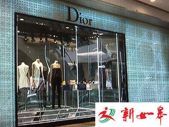 女子花3万买迪奥拎包3处断线 门店经理称在休年假-雉水网