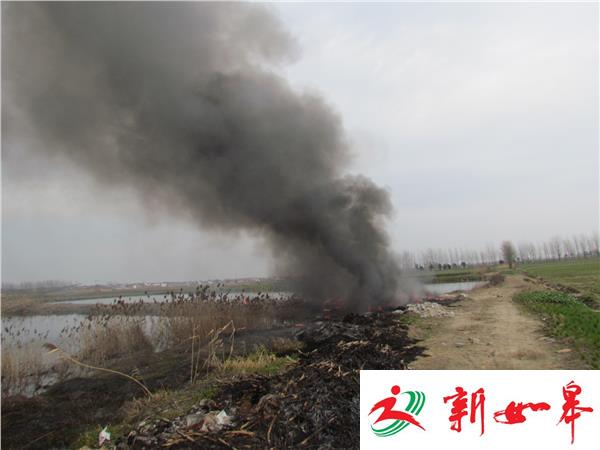 腾起几十米高浓烟 “蘑菇云”黑了半边天-雉水网