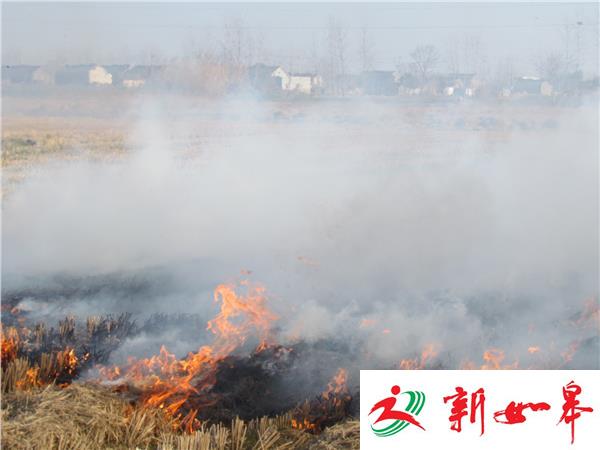 年三十盐城稻田惊现“火烧连营” 蓝天下烟雾飘-雉水网