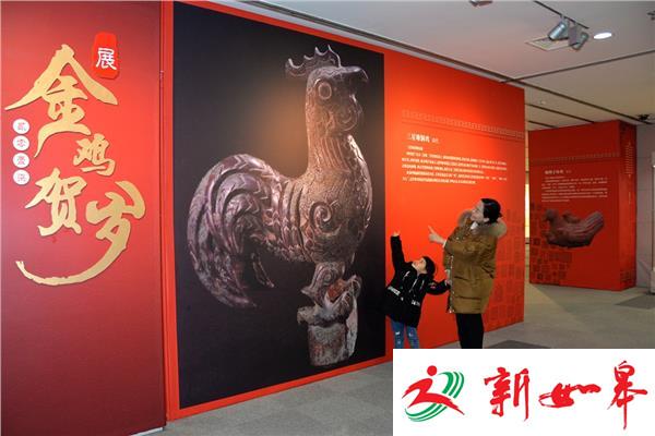 江宁织造博物馆内有一大拨“萌鸡”穿越来报春-雉水网