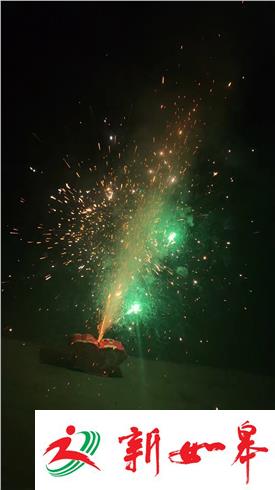 春节违法燃放烟花爆竹 南京10人被拘留-雉水网