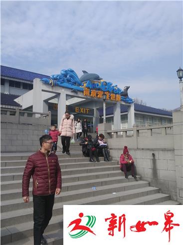 荔枝监督：海底世界 出租车违规运营无人管-雉水网