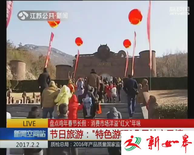 盘点鸡年春节长假 消费市场洋溢红火年味-雉水网